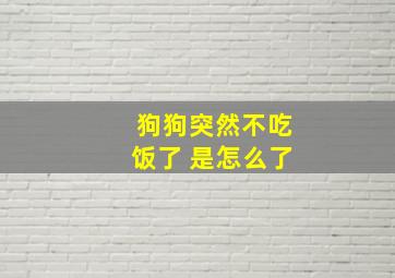 狗狗突然不吃饭了 是怎么了